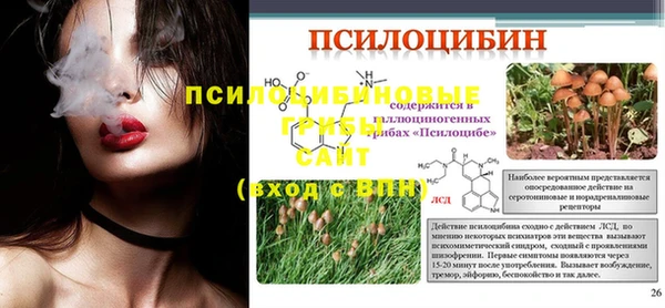 амф Костерёво
