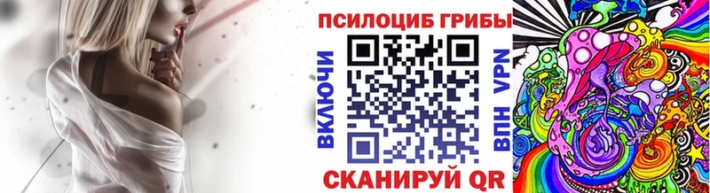 Купить  Мирный  Псилоцибиновые грибы Cubensis 
