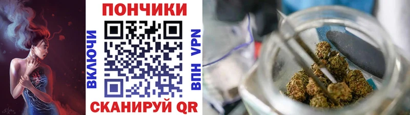 Купить закладки  Мирный  Конопля сатива 